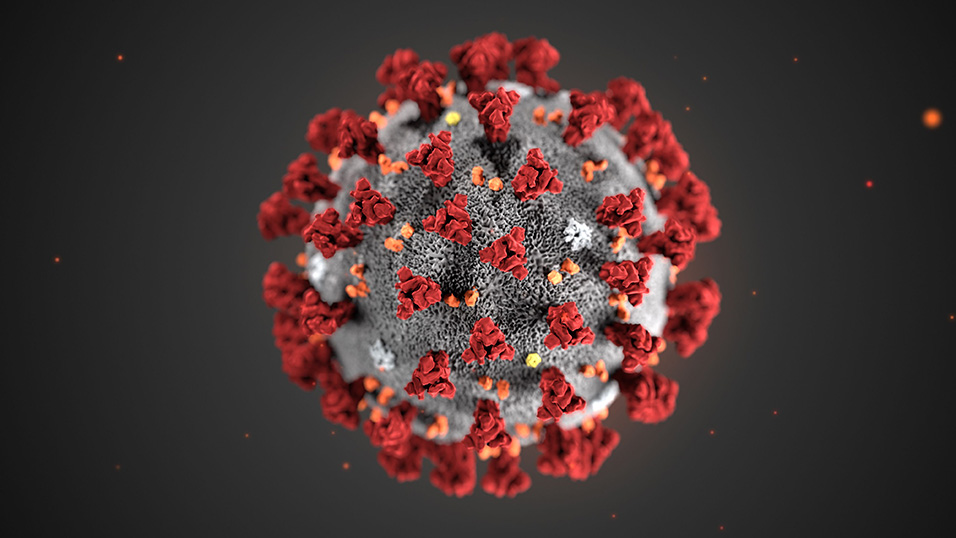 Informativa in merito all’infezione Coronavirus